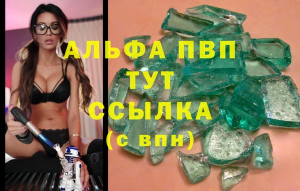 индика Абаза