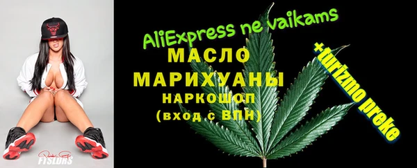 индика Абаза