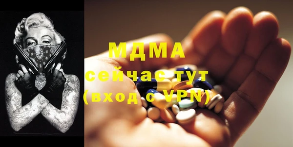индика Абаза