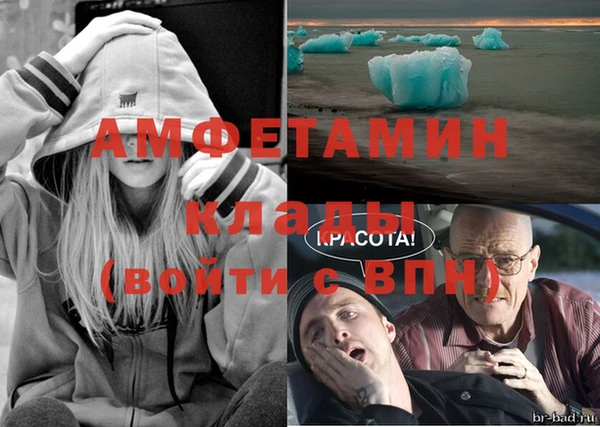 индика Абаза