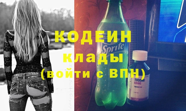 индика Абаза