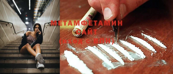 индика Абаза