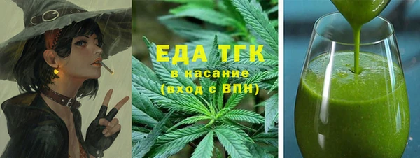 индика Абаза