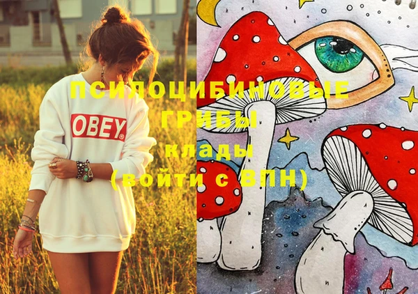 мяу мяу мука Абинск