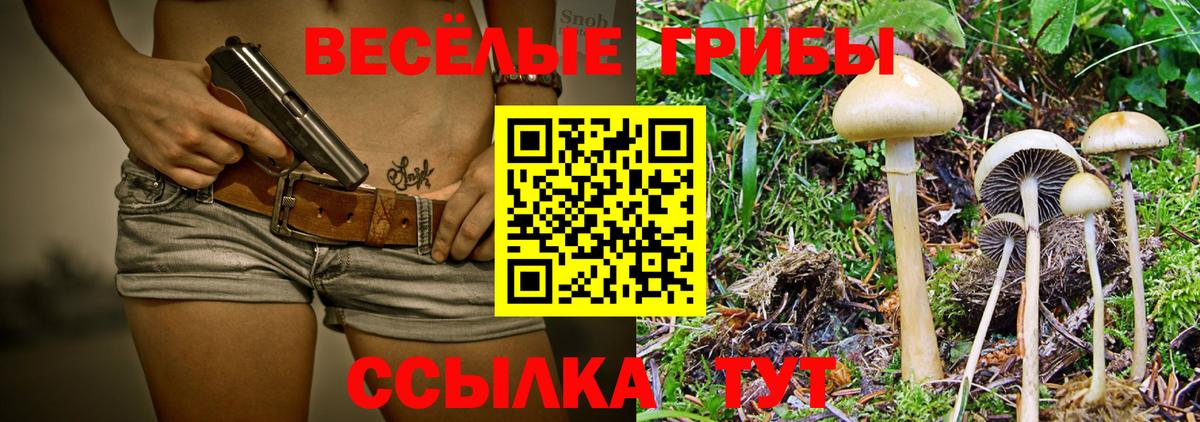 Псилоцибиновые грибы Magic Shrooms  как найти наркотики  Сургут  Вход с VPN 