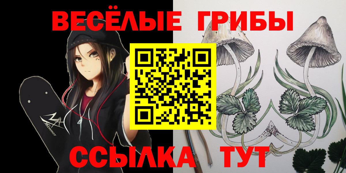 Галлюциногенные грибы GOLDEN TEACHER Сургут